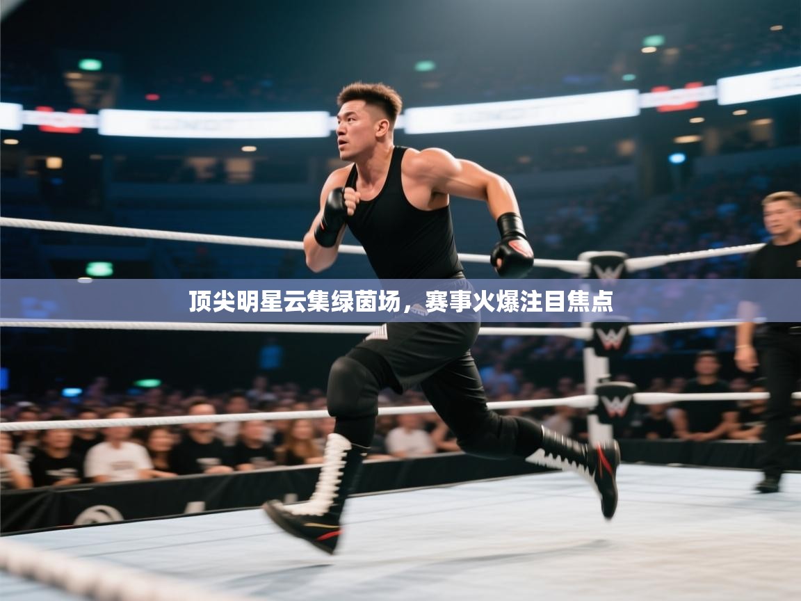 顶尖明星云集绿茵场,赛事火爆注目焦点 第2张