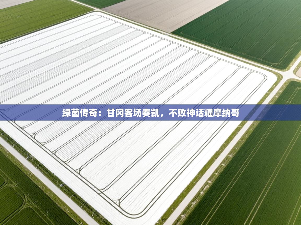 绿茵传奇：甘冈客场奏凯，不败神话耀摩纳哥